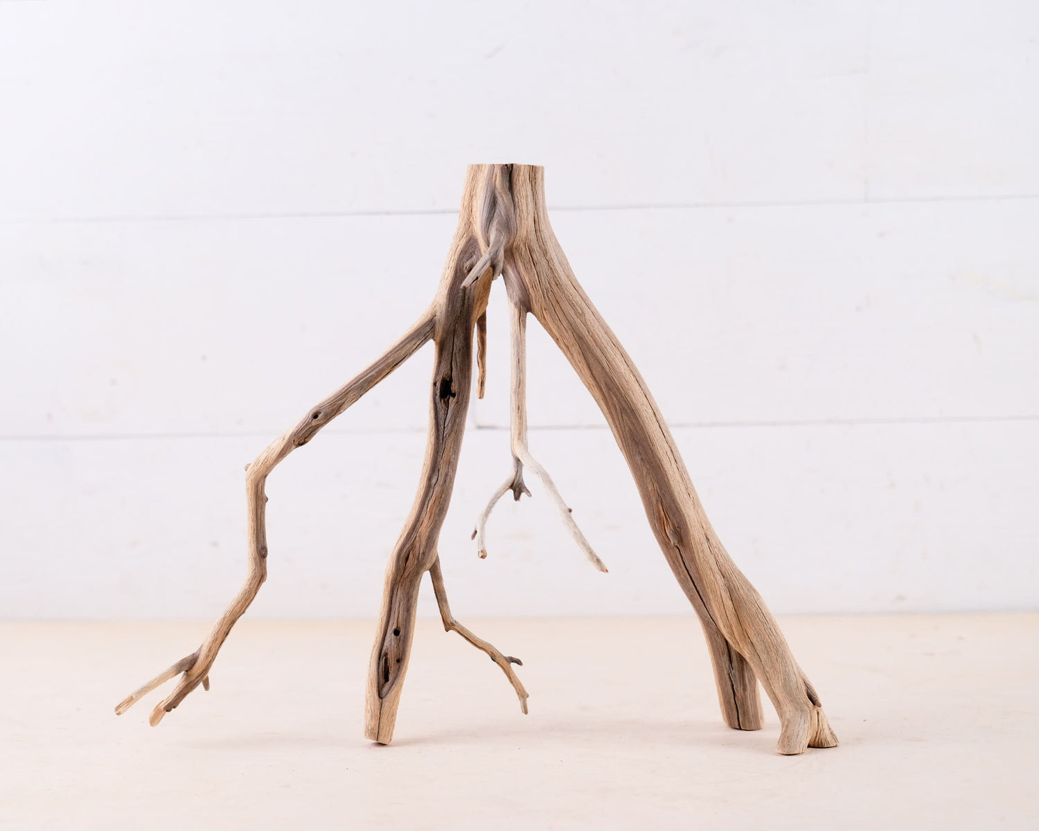 Manzanita 13" Branch, Small Aquarium Driftwood, Narrow Nanoscape Decor, Slender Fish Tank Wood
