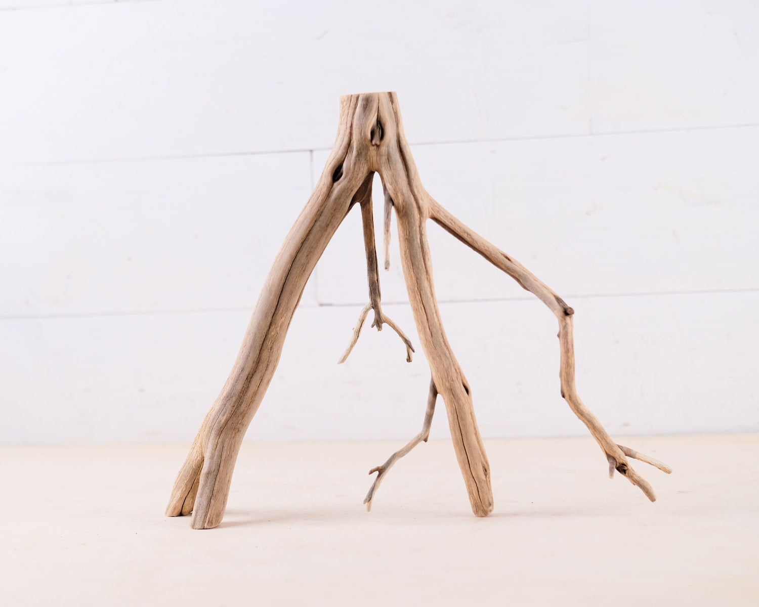 Manzanita 13" Branch, Small Aquarium Driftwood, Narrow Nanoscape Decor, Slender Fish Tank Wood
