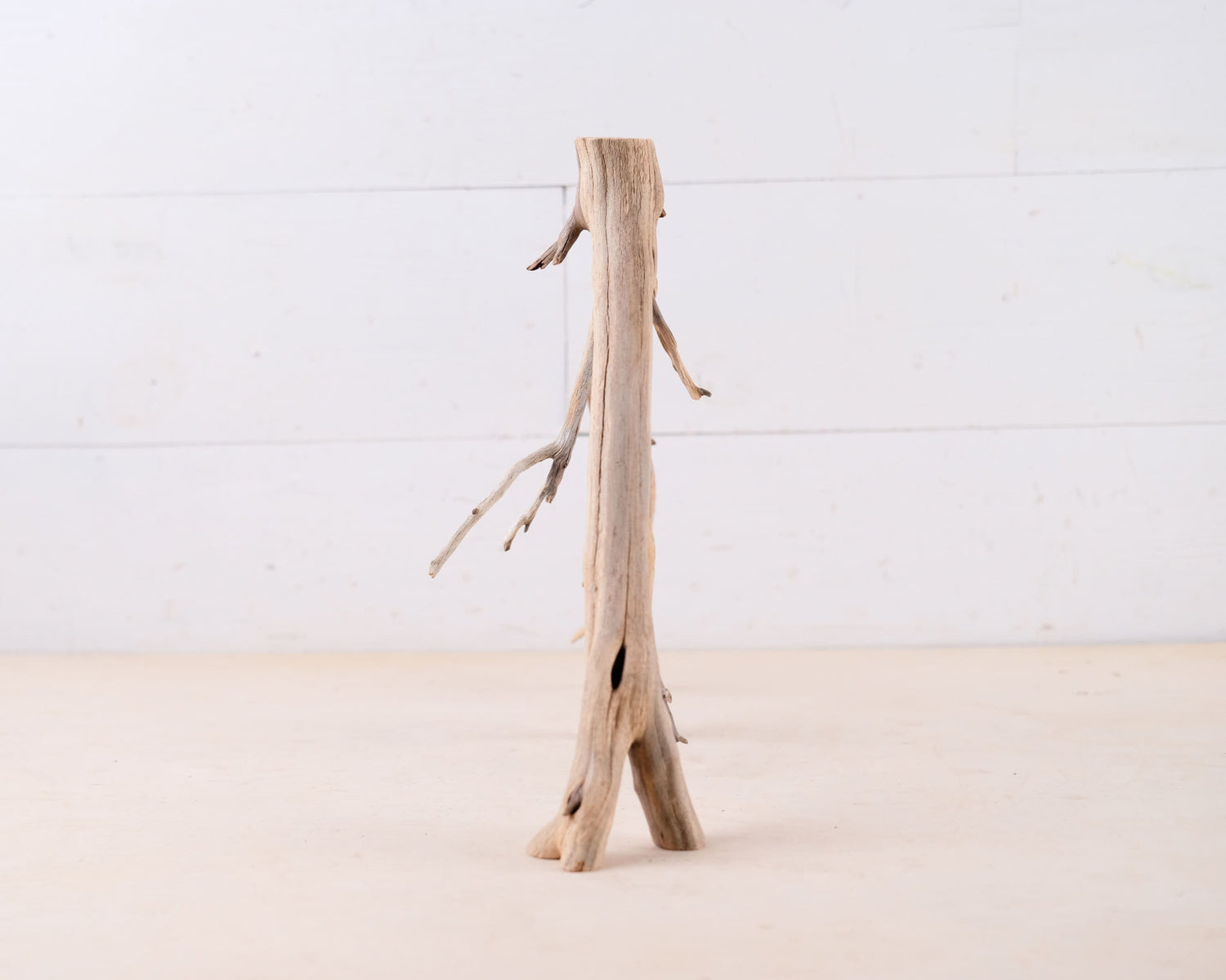 Manzanita 13" Branch, Small Aquarium Driftwood, Narrow Nanoscape Decor, Slender Fish Tank Wood