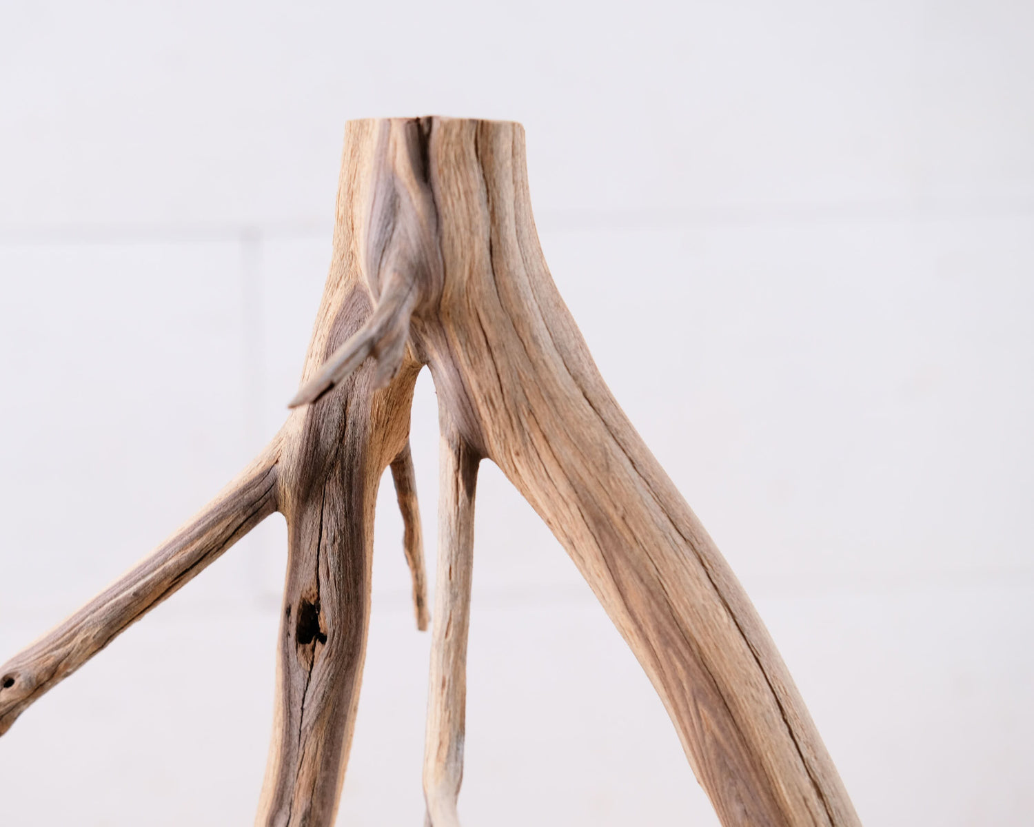 Manzanita 13" Branch, Small Aquarium Driftwood, Narrow Nanoscape Decor, Slender Fish Tank Wood