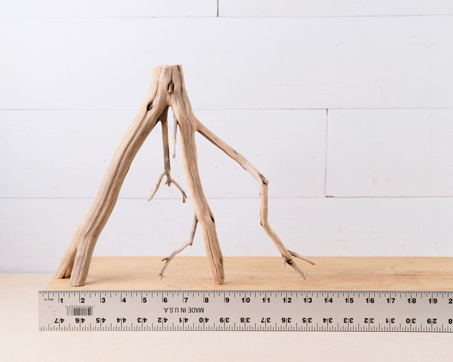 Manzanita 13" Branch, Small Aquarium Driftwood, Narrow Nanoscape Decor, Slender Fish Tank Wood