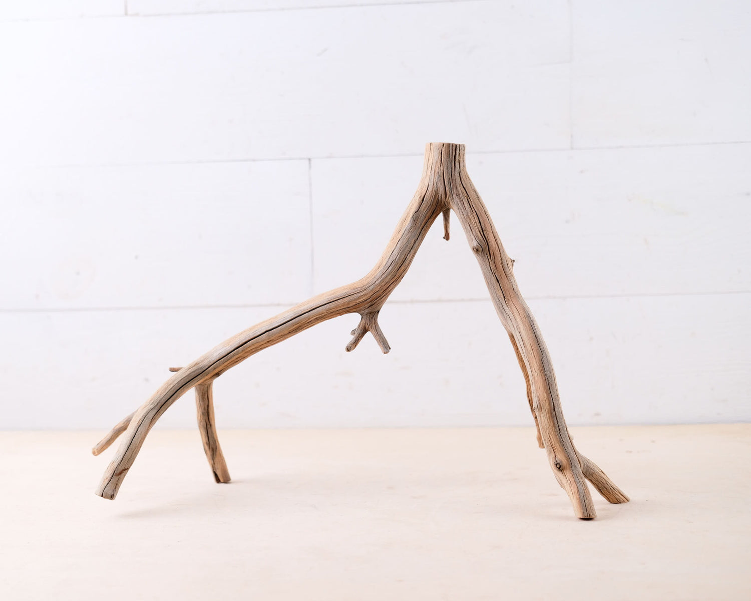 Manzanita 16" Driftwood, Narrow Aquarium Wood, Aquascape Decor, Natural Fish Tank Decor