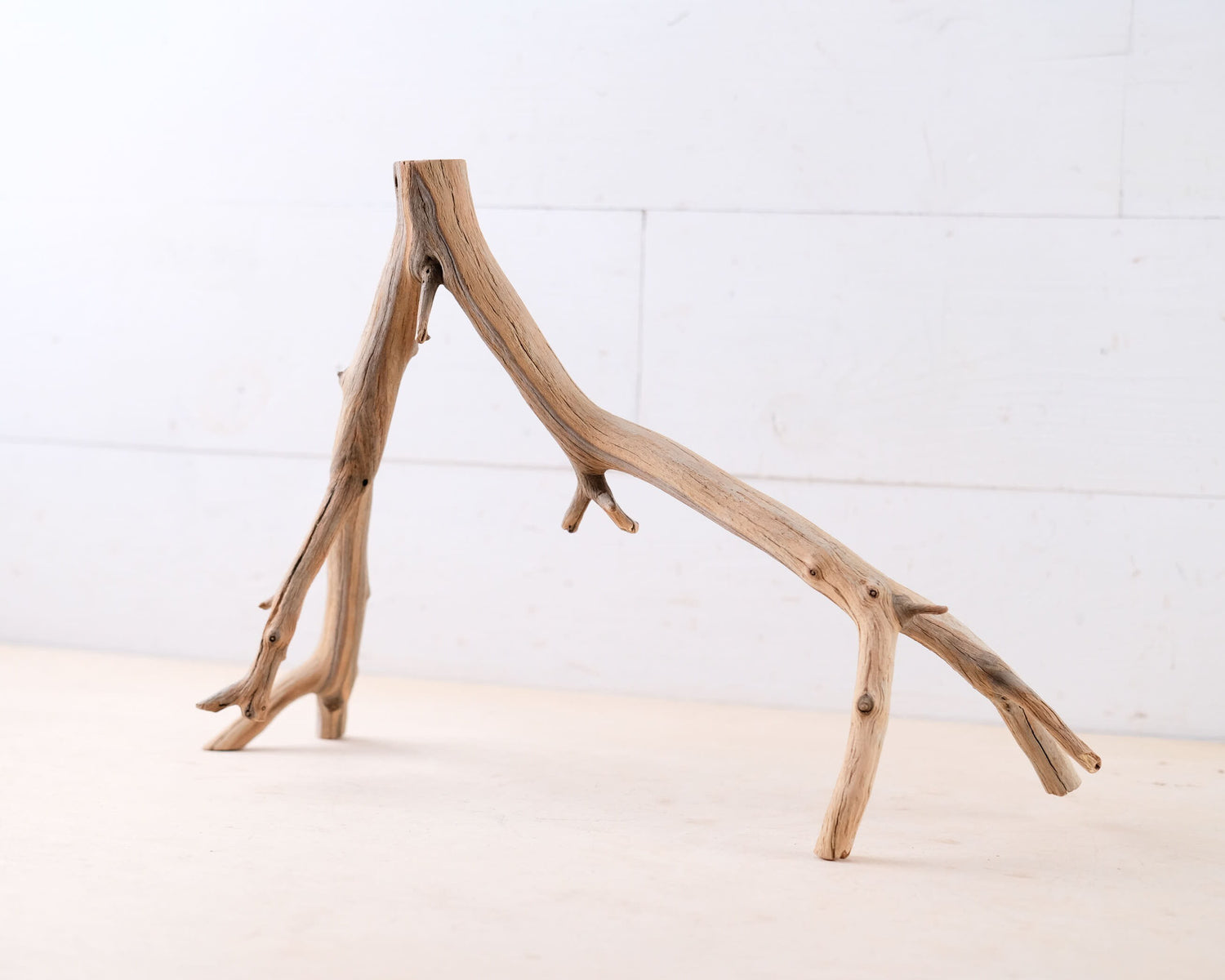 Manzanita 16" Driftwood, Narrow Aquarium Wood, Aquascape Decor, Natural Fish Tank Decor