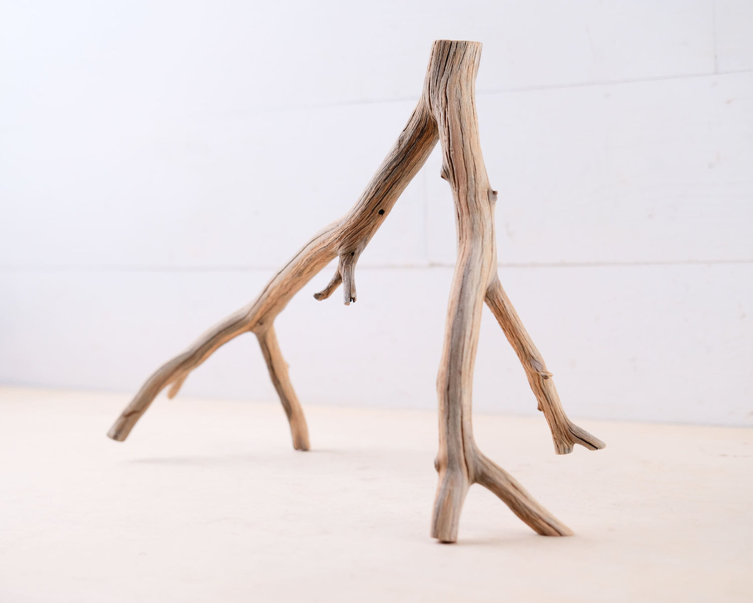 Manzanita 16" Driftwood, Narrow Aquarium Wood, Aquascape Decor, Natural Fish Tank Decor
