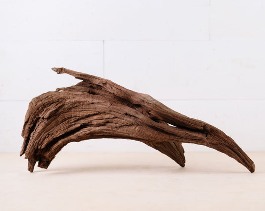Manzanita 17" Driftwood, Aquarium Aquascape Decor, Natural Fish Tank Wood, Driftwood Shelf Decor