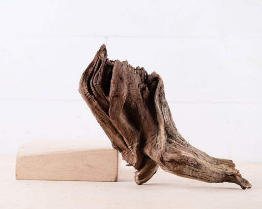 Manzanita 9" Driftwood, Aquarium Aquascape Decor, Natural Fish Tank Wood, Reptile Vivarium Wood