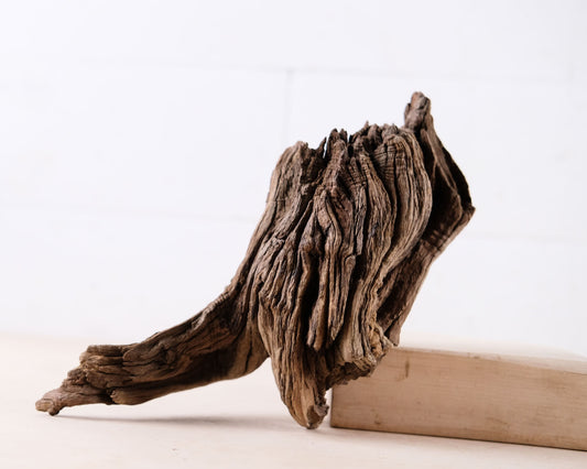 Manzanita 9" Driftwood, Aquarium Aquascape Decor, Natural Fish Tank Wood, Reptile Vivarium Wood