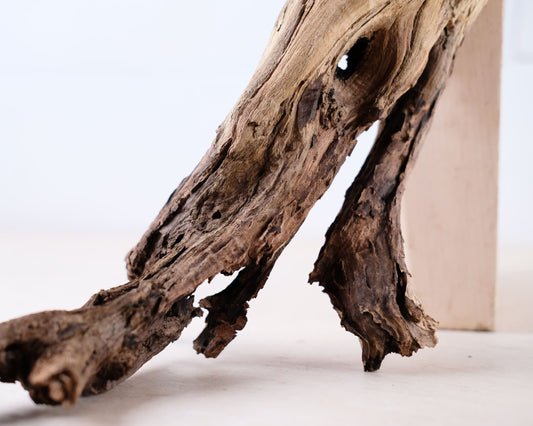 Manzanita 13" Driftwood Arch, Aquarium Aquascape Decor, Natural Fish Tank Wood, Reptile Vivarium Wood