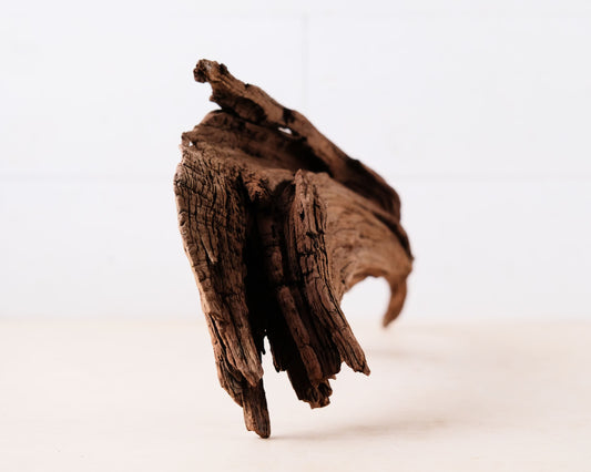 Manzanita 17" Driftwood, Aquarium Aquascape Decor, Natural Fish Tank Wood, Driftwood Shelf Decor