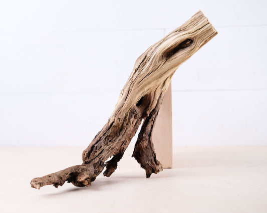 Manzanita 13" Driftwood Arch, Aquarium Aquascape Decor, Natural Fish Tank Wood, Reptile Vivarium Wood
