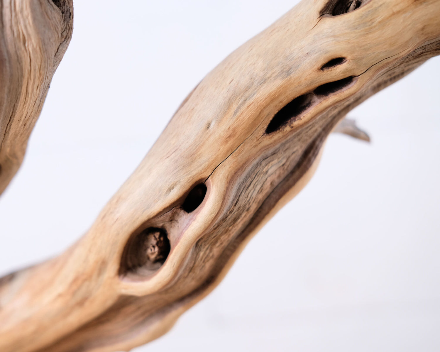 Manzanita Branch 28", Large Aquarium Driftwood, Driftwood Aquascape Centerpiece, Natural Fish Tank Decor, Large Decor Branch