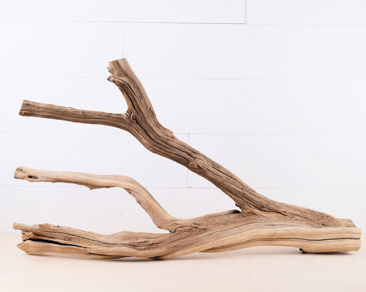Manzanita 30" Branch, Large Aquascape Driftwood, Aquarium Wood, Terrarium Tank Decor, Reptile Vivarium Branch