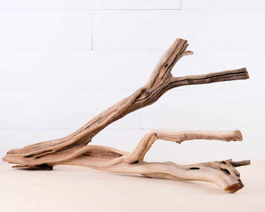 Manzanita 30" Branch, Large Aquascape Driftwood, Aquarium Wood, Terrarium Tank Decor, Reptile Vivarium Branch