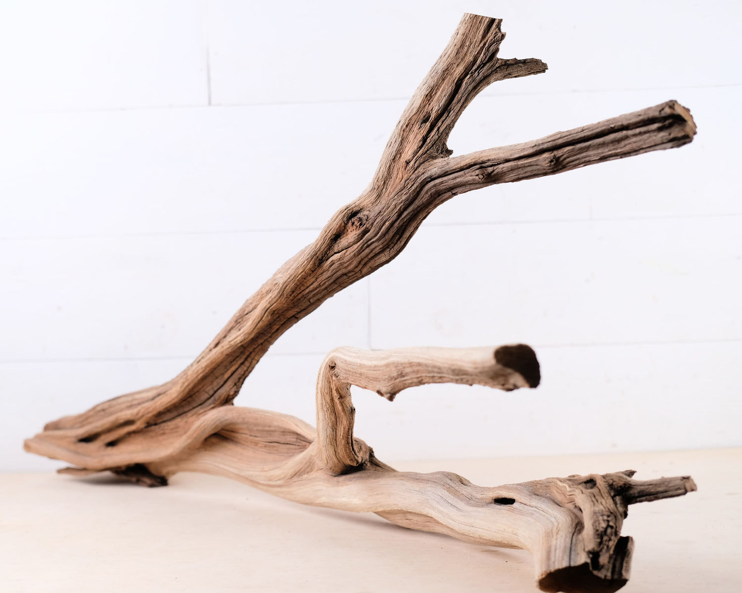 Manzanita 30" Branch, Large Aquascape Driftwood, Aquarium Wood, Terrarium Tank Decor, Reptile Vivarium Branch