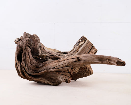 Manzanita 19.5" Driftwood, Aquarium Aquascape Decor, Natural Fish Tank Wood, Driftwood Shelf Decor