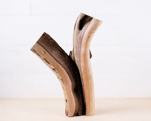 Manzanita 15" Driftwood Branch, Aquarium Aquascape Trunk, Reptile Vivarium Perch, Terrarium Climb