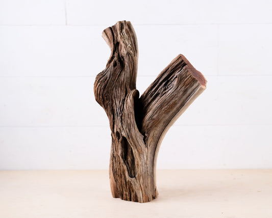 Manzanita 15" Driftwood Branch, Aquarium Aquascape Trunk, Reptile Vivarium Perch, Terrarium Climb