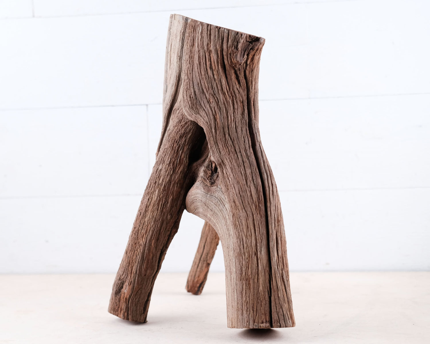 Manzanita 15" Driftwood, Aquarium Branch, Aquascape Decor, Natural Fish Tank Decor, Large Terrarium Wood