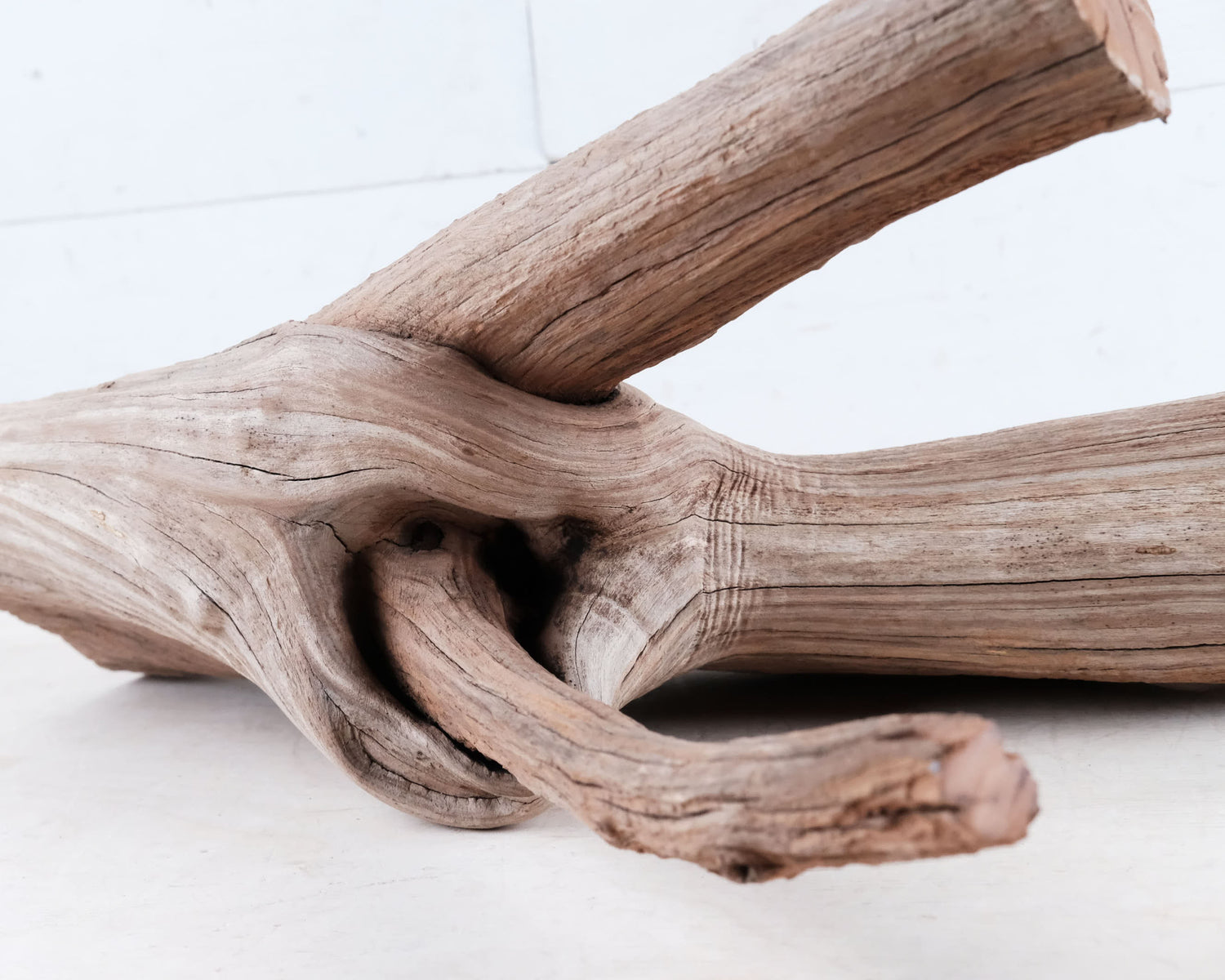 Manzanita 15" Driftwood, Aquarium Branch, Aquascape Decor, Natural Fish Tank Decor, Large Terrarium Wood