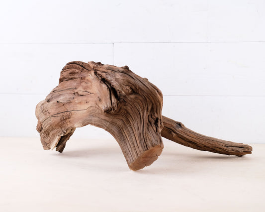 Manzanita 19.5" Driftwood, Aquarium Aquascape Decor, Natural Fish Tank Wood, Driftwood Shelf Decor