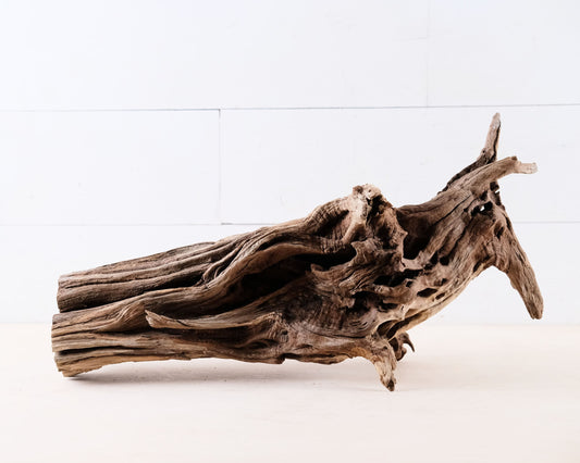 Manzanita 18.5" Driftwood, Aquarium Aquascape Decor, Natural Fish Tank Wood, Driftwood Shelf Decor