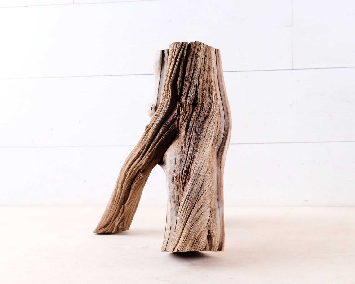 Manzanita 13.5" Driftwood, Aquarium Branch, Aquascape Decor, Natural Fish Tank Decor, Large Terrarium Wood