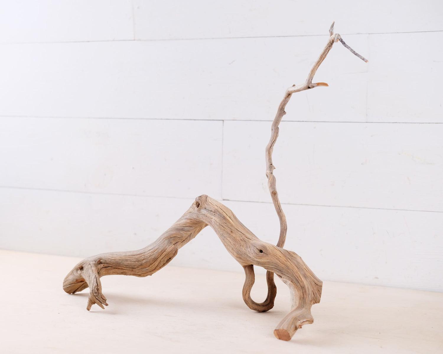 Manzanita 16" Driftwood, Aquarium Branch, Aquascape Decor, Natural Fish Tank Decor, Large Terrarium Wood