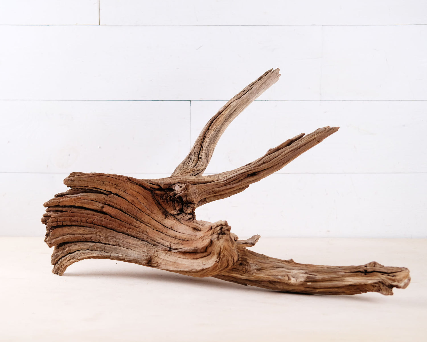 Manzanita 22" Driftwood, Aquarium Aquascape Branch, Natural Fish Tank Wood, Reptile Terrarium Decor