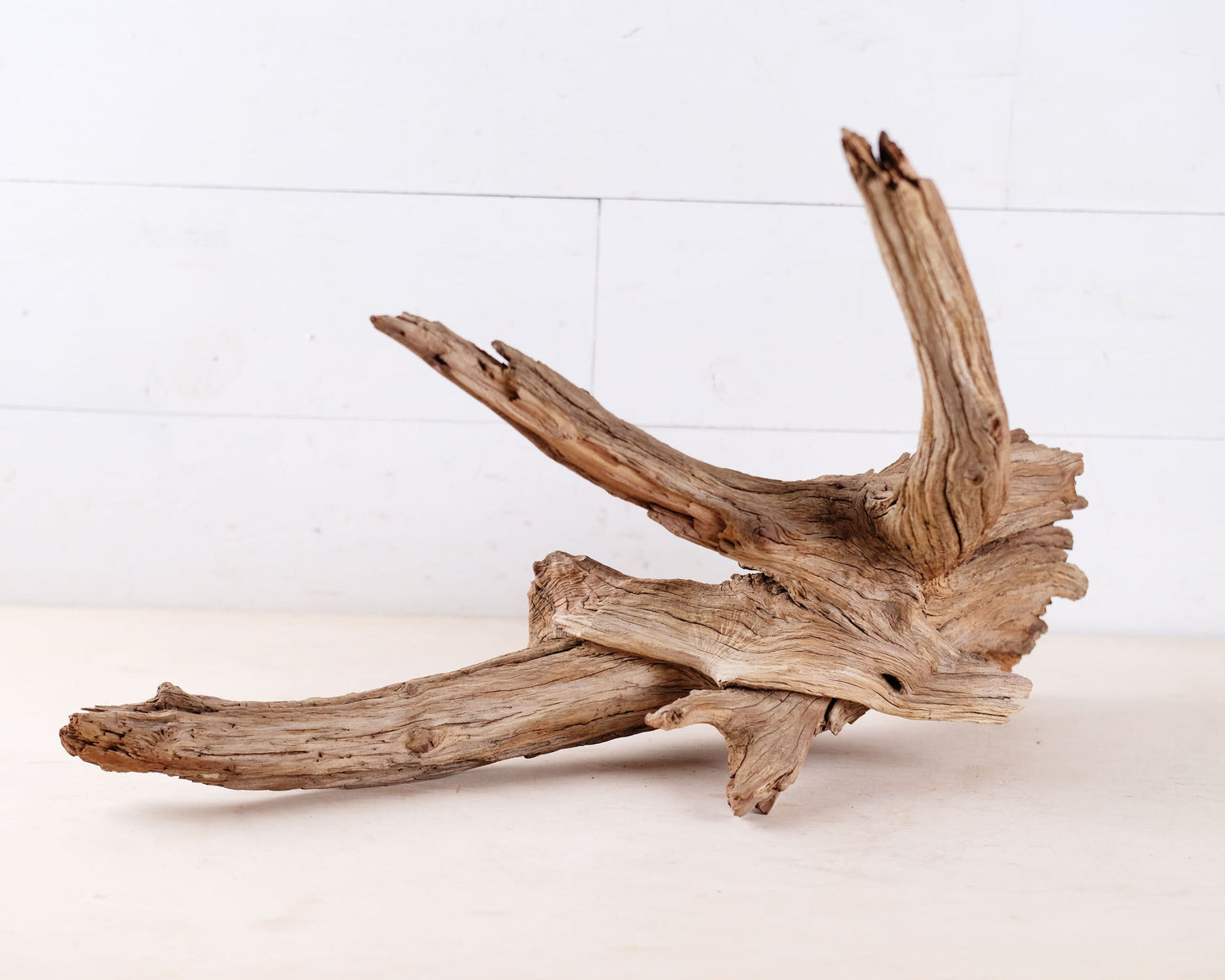 Manzanita 22" Driftwood, Aquarium Aquascape Branch, Natural Fish Tank Wood, Reptile Terrarium Decor
