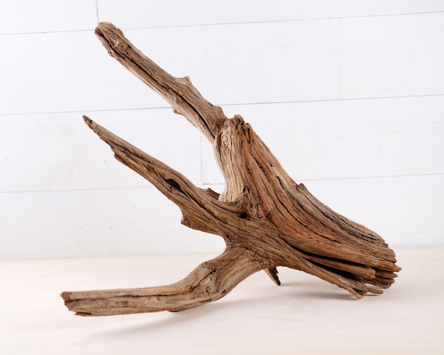 Manzanita 22" Driftwood, Aquarium Aquascape Branch, Natural Fish Tank Wood, Reptile Terrarium Decor