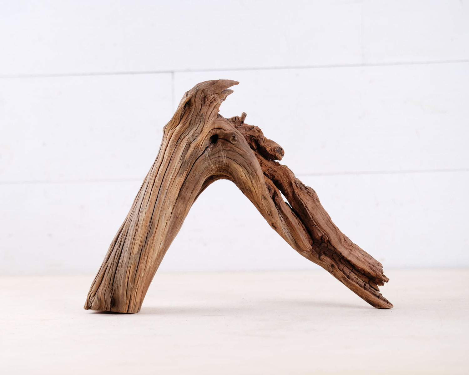 Manzanita 12" Driftwood Arch, Nano Aquarium Aquascape Decor, Small Fish Tank Wood, Aquarium Root