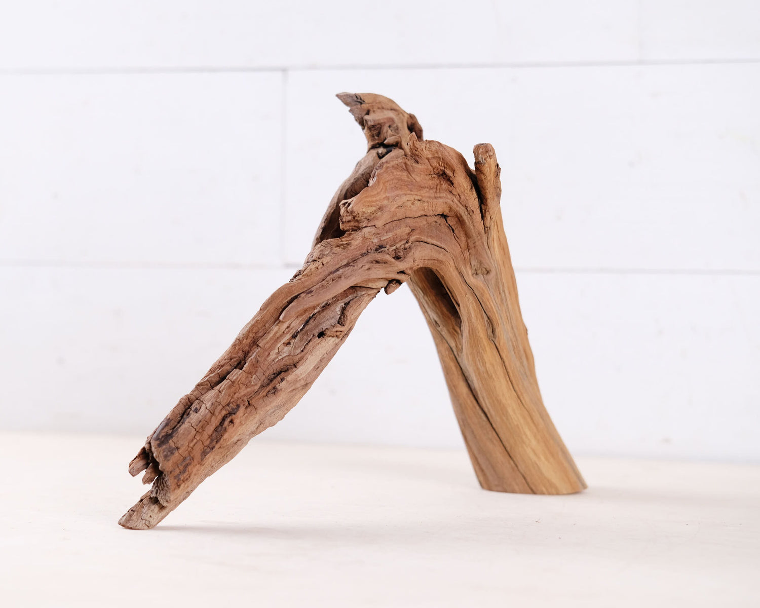 Manzanita 12" Driftwood Arch, Nano Aquarium Aquascape Decor, Small Fish Tank Wood, Aquarium Root