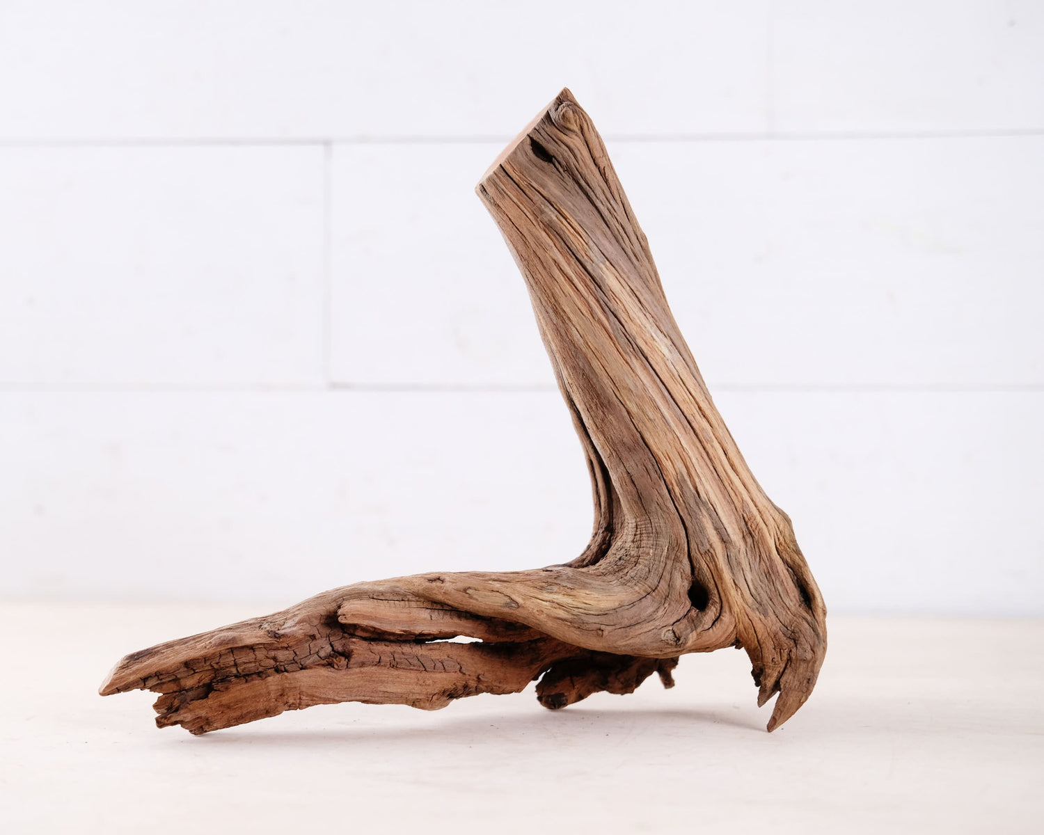 Manzanita 12" Driftwood Arch, Nano Aquarium Aquascape Decor, Small Fish Tank Wood, Aquarium Root
