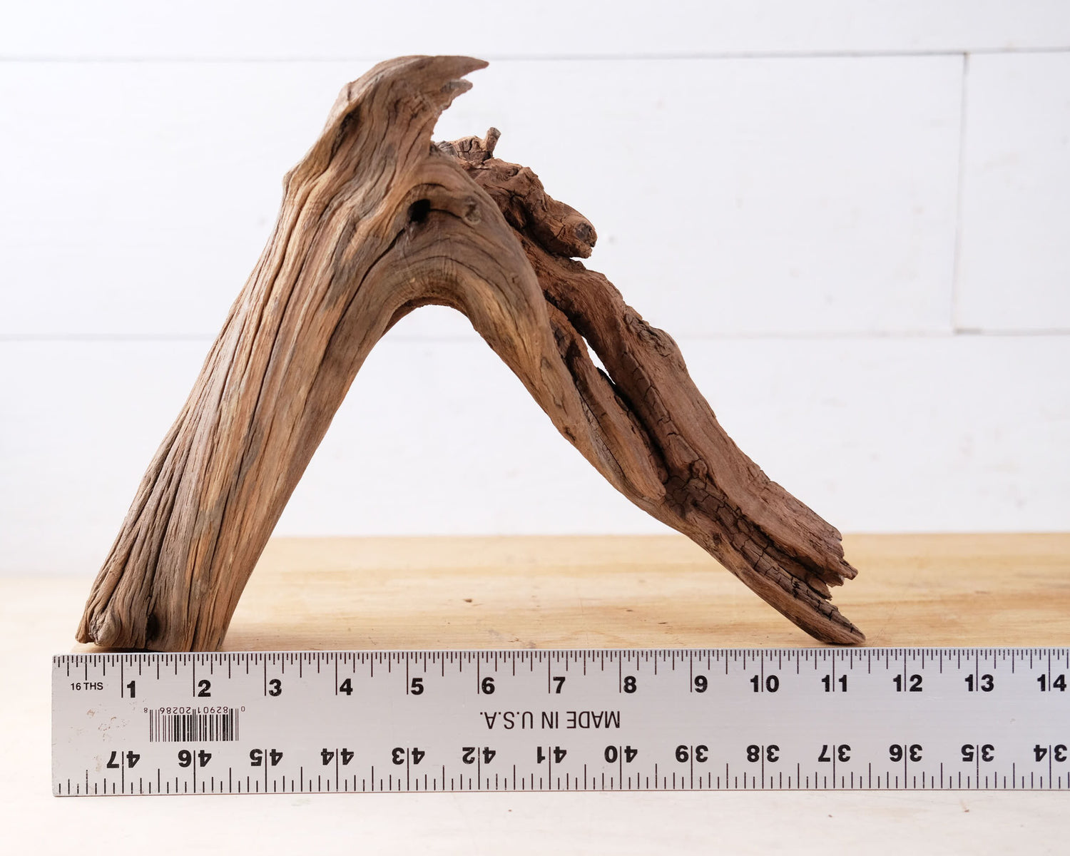 Manzanita 12" Driftwood Arch, Nano Aquarium Aquascape Decor, Small Fish Tank Wood, Aquarium Root