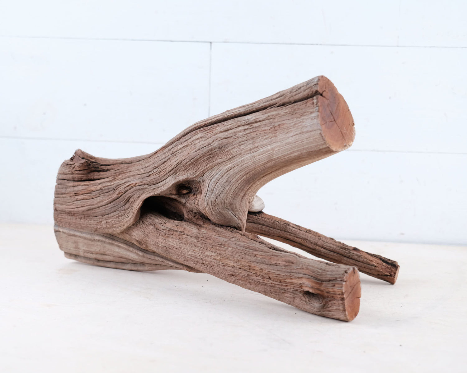 Manzanita 15" Driftwood, Aquarium Branch, Aquascape Decor, Natural Fish Tank Decor, Large Terrarium Wood