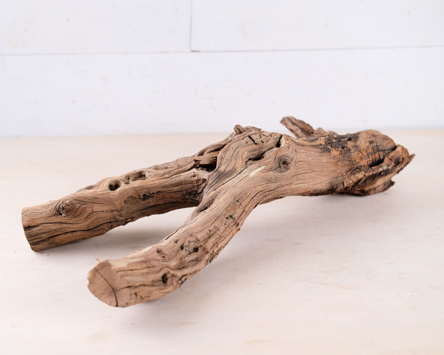 Manzanita 20" Driftwood, Aquarium Branch, Aquascape Decor, Vivarium Perch, Natural Fish Tank Decor, Reptile Terrarium Wood