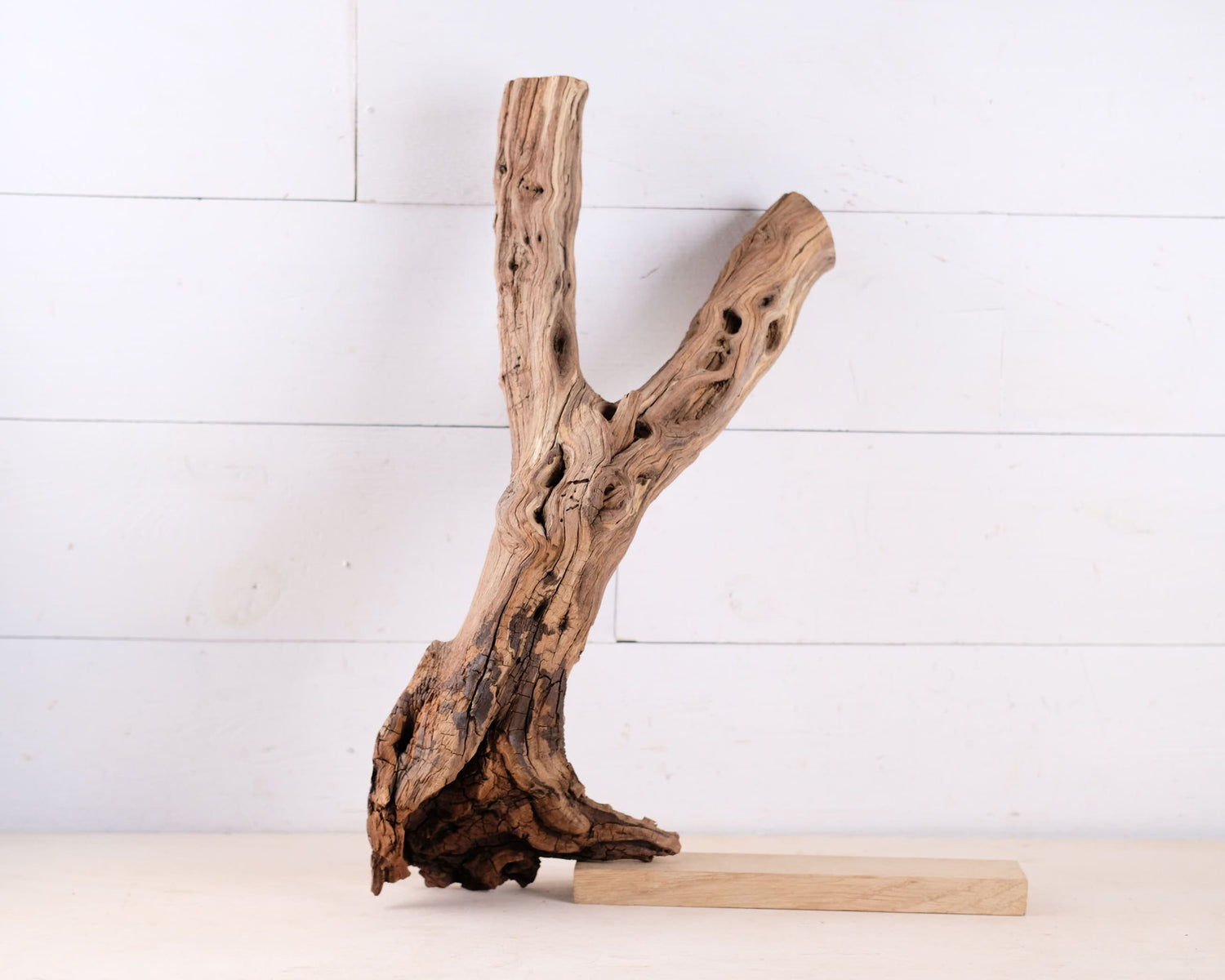 Manzanita 20" Driftwood, Aquarium Branch, Aquascape Decor, Vivarium Perch, Natural Fish Tank Decor, Reptile Terrarium Wood