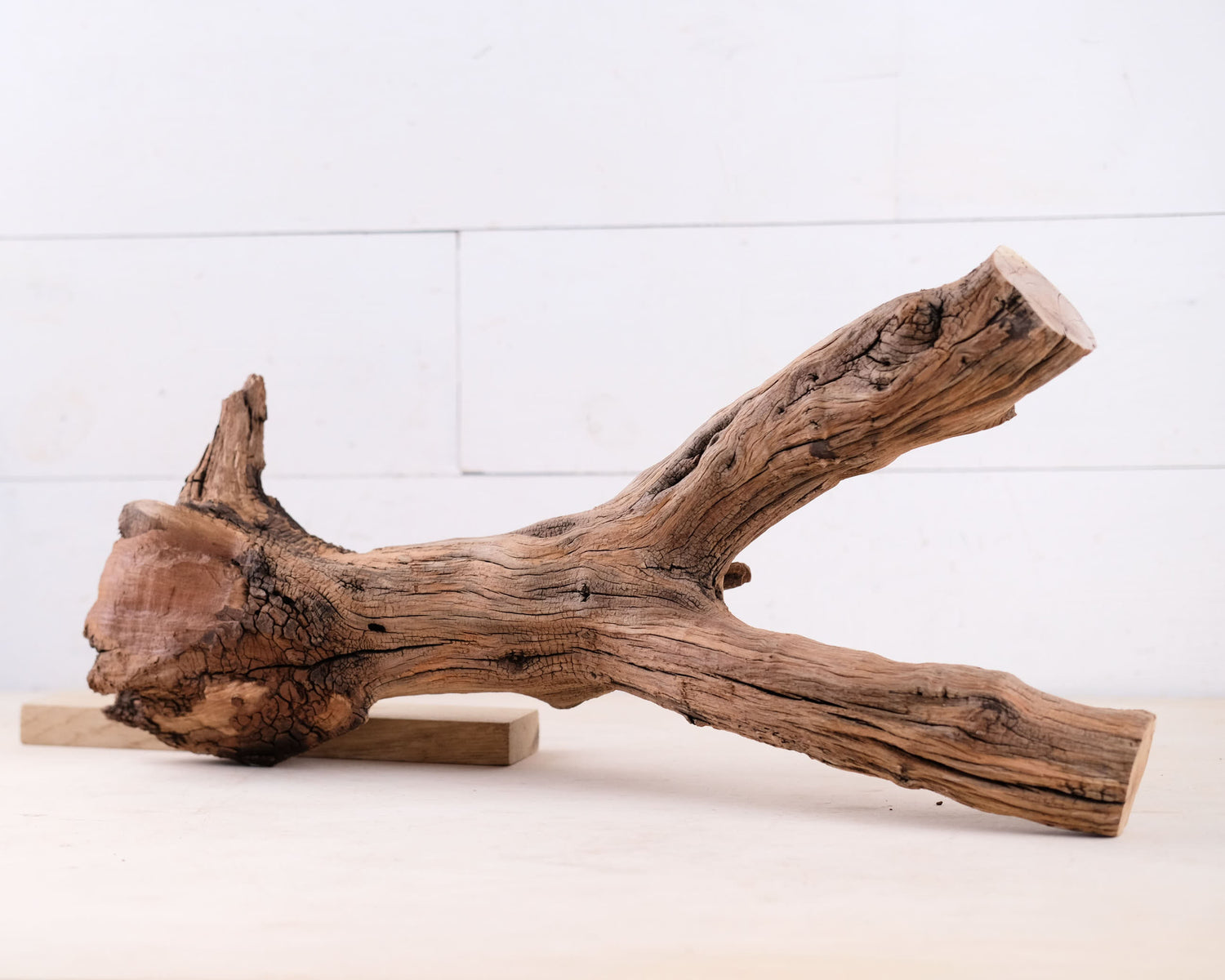 Manzanita 20" Driftwood, Aquarium Branch, Aquascape Decor, Vivarium Perch, Natural Fish Tank Decor, Reptile Terrarium Wood