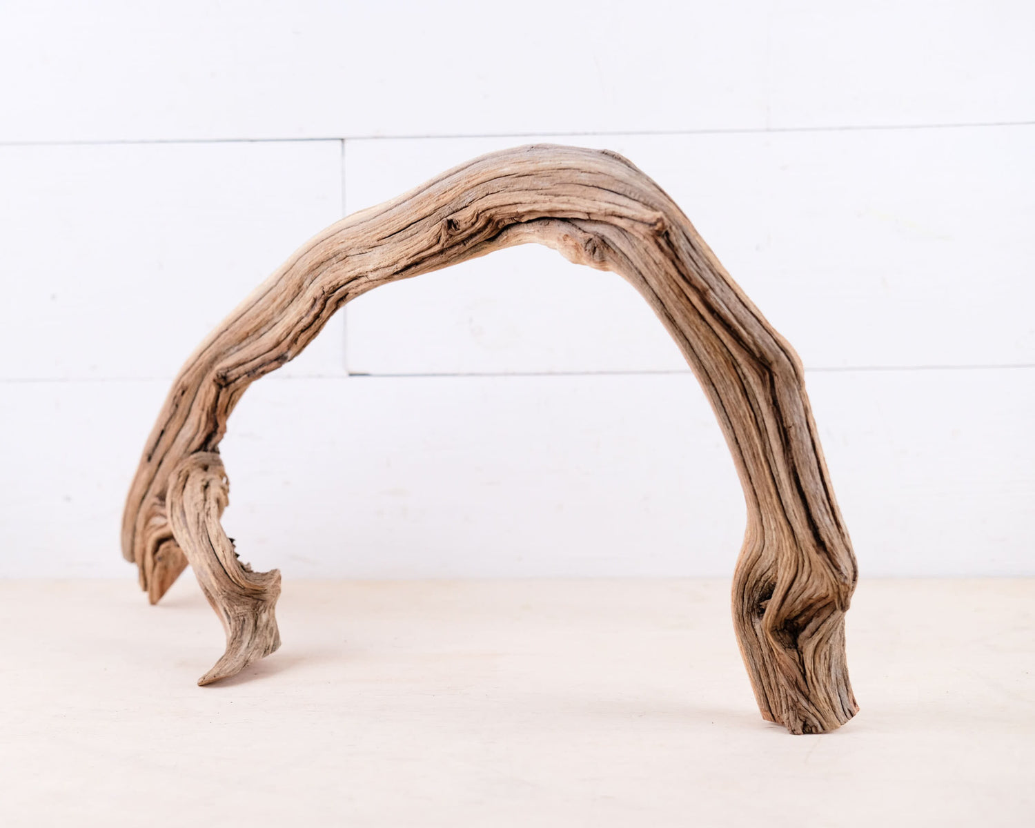 Manzanita 20" Driftwood Arch, Narrow Aquarium Aquascape Decor, Small Fish Tank Wood, Air Plant Holder