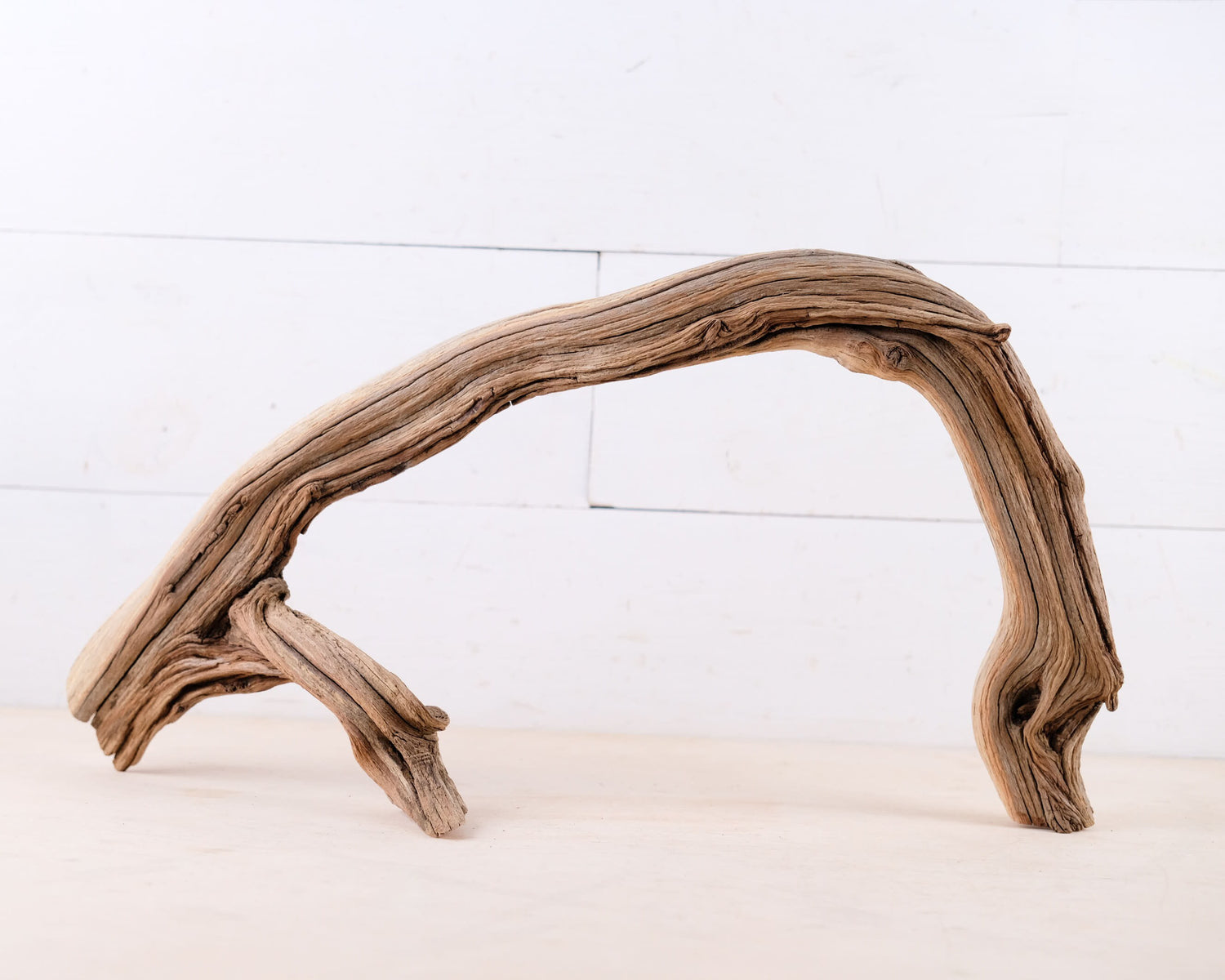 Manzanita 20" Driftwood Arch, Narrow Aquarium Aquascape Decor, Small Fish Tank Wood, Air Plant Holder