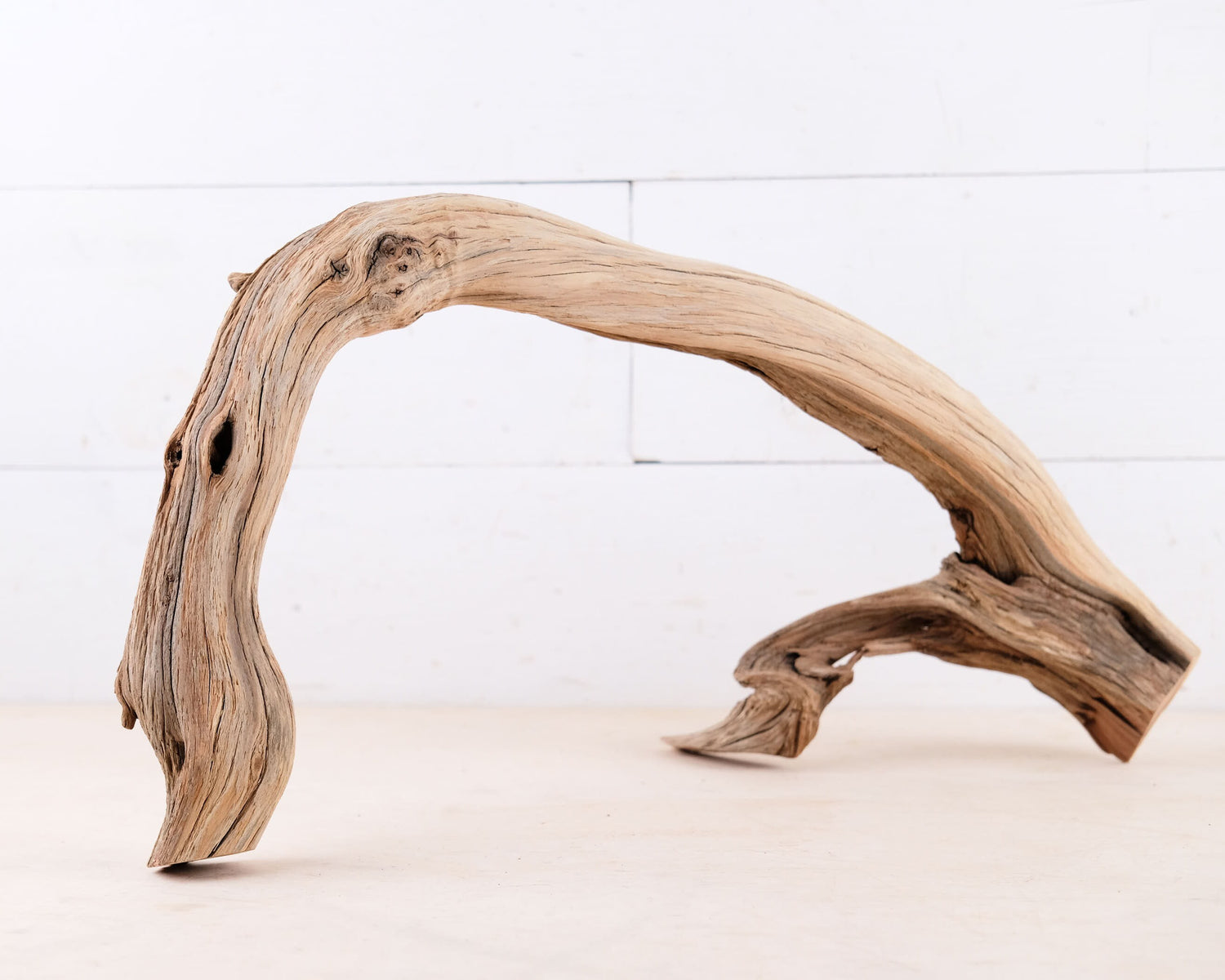 Manzanita 20" Driftwood Arch, Narrow Aquarium Aquascape Decor, Small Fish Tank Wood, Air Plant Holder
