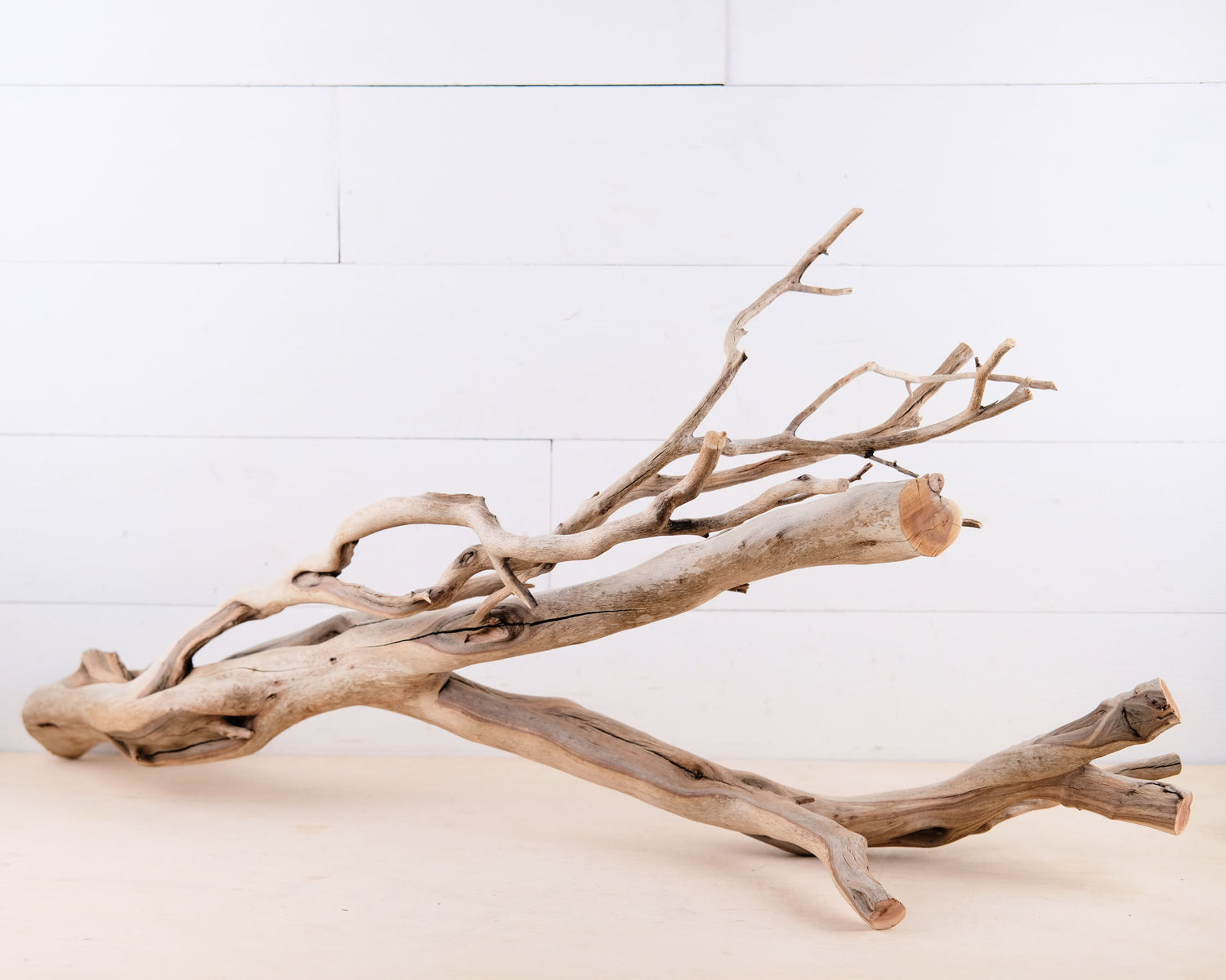 36" Manzanita XL Branch, Sturdy Reptile Vivarium Climb, Large Aquarium Wood, Driftwood Decor