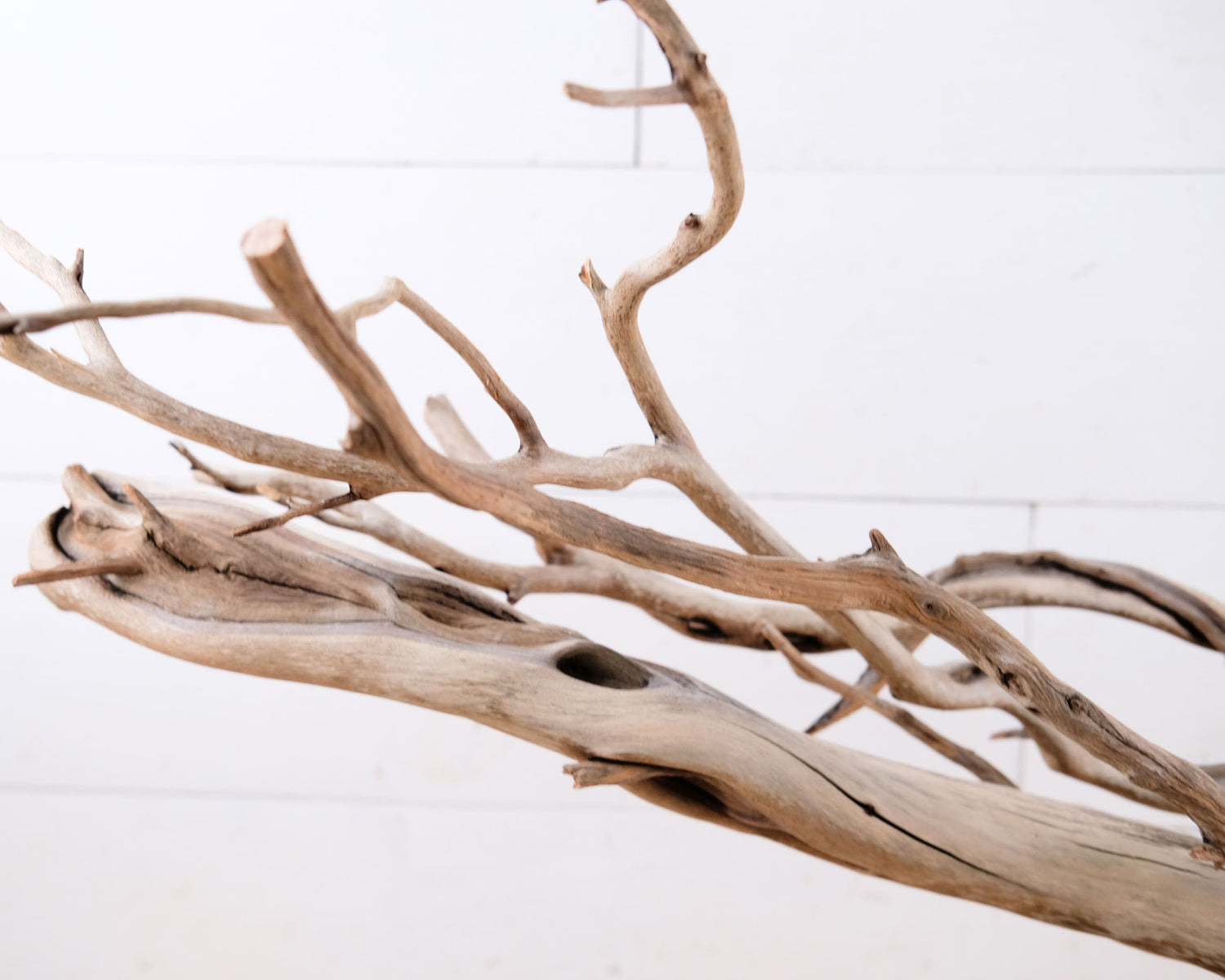 36" Manzanita XL Branch, Sturdy Reptile Vivarium Climb, Large Aquarium Wood, Driftwood Decor