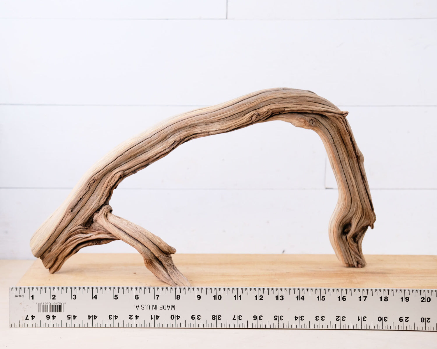 Manzanita 20" Driftwood Arch, Narrow Aquarium Aquascape Decor, Small Fish Tank Wood, Air Plant Holder