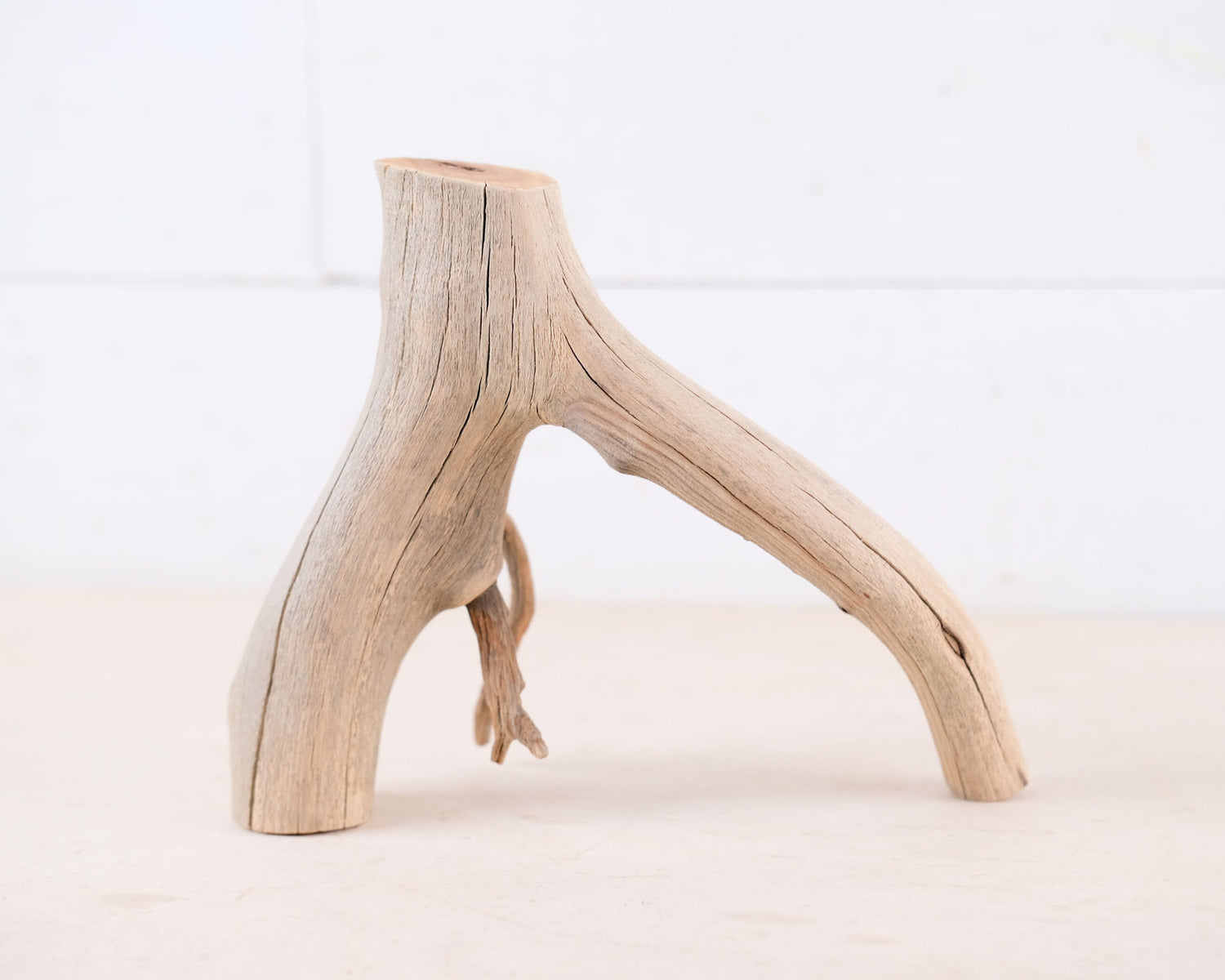 Manzanita 9" Driftwood Branch, Natural Aquarium Wood, Small Aquascape Branch, Nano Fish Tank Decor