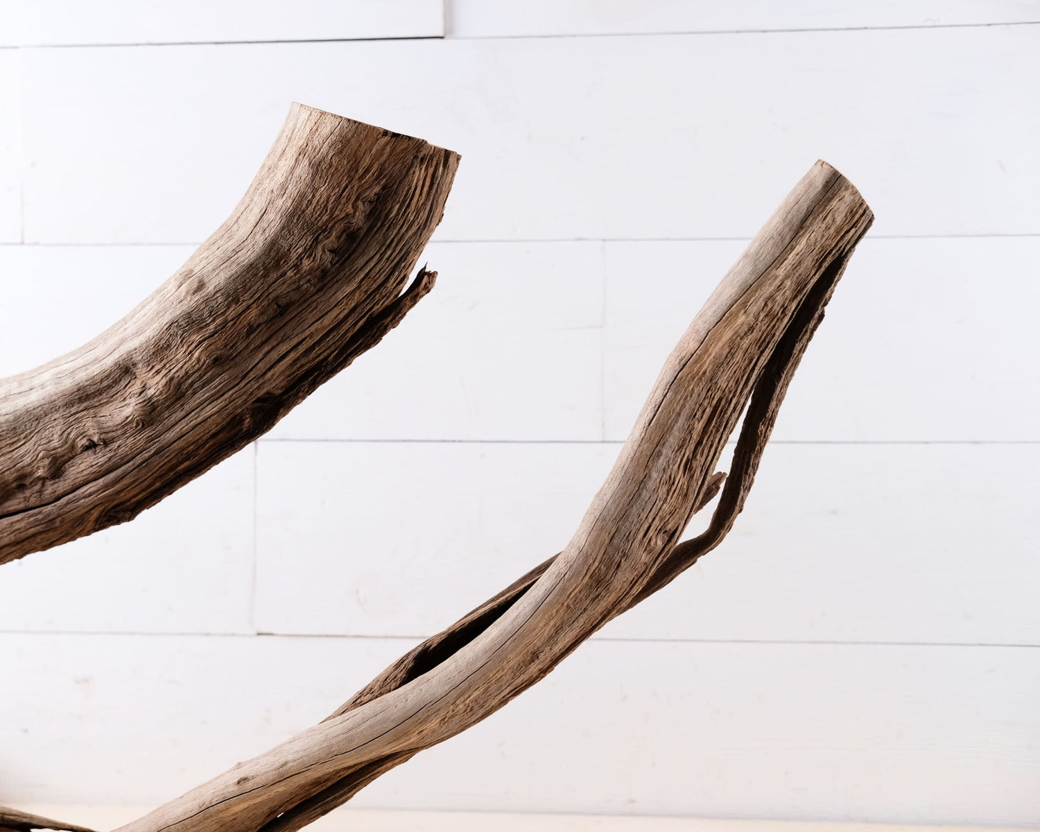 35" Manzanita XL Branch, Sturdy Reptile Vivarium Climb, Large Aquarium Wood, Driftwood Decor