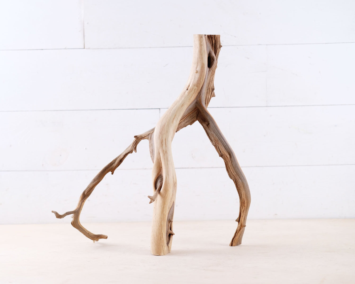 Manzanita 16" Branch, Aquarium Driftwood, Aquascape Centerpiece, Natural Fish Tank Decor, Reptile Terrarium Wood