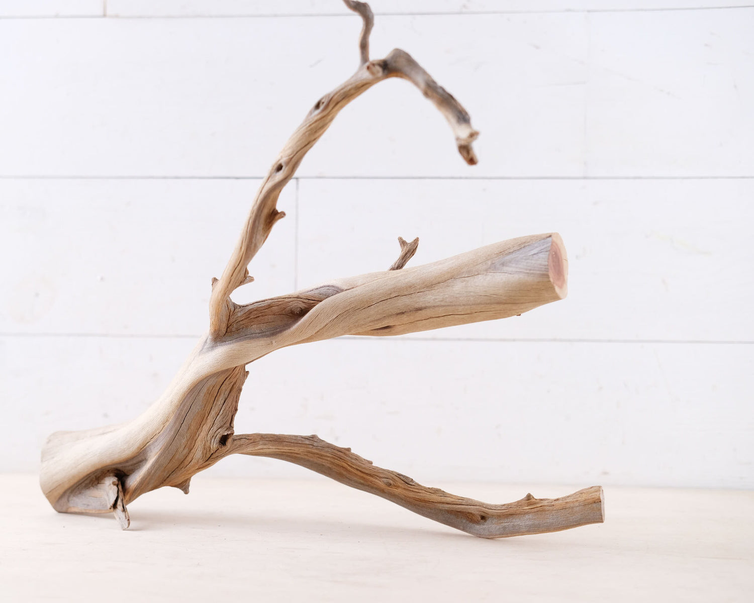 Manzanita 16" Branch, Aquarium Driftwood, Aquascape Centerpiece, Natural Fish Tank Decor, Reptile Terrarium Wood