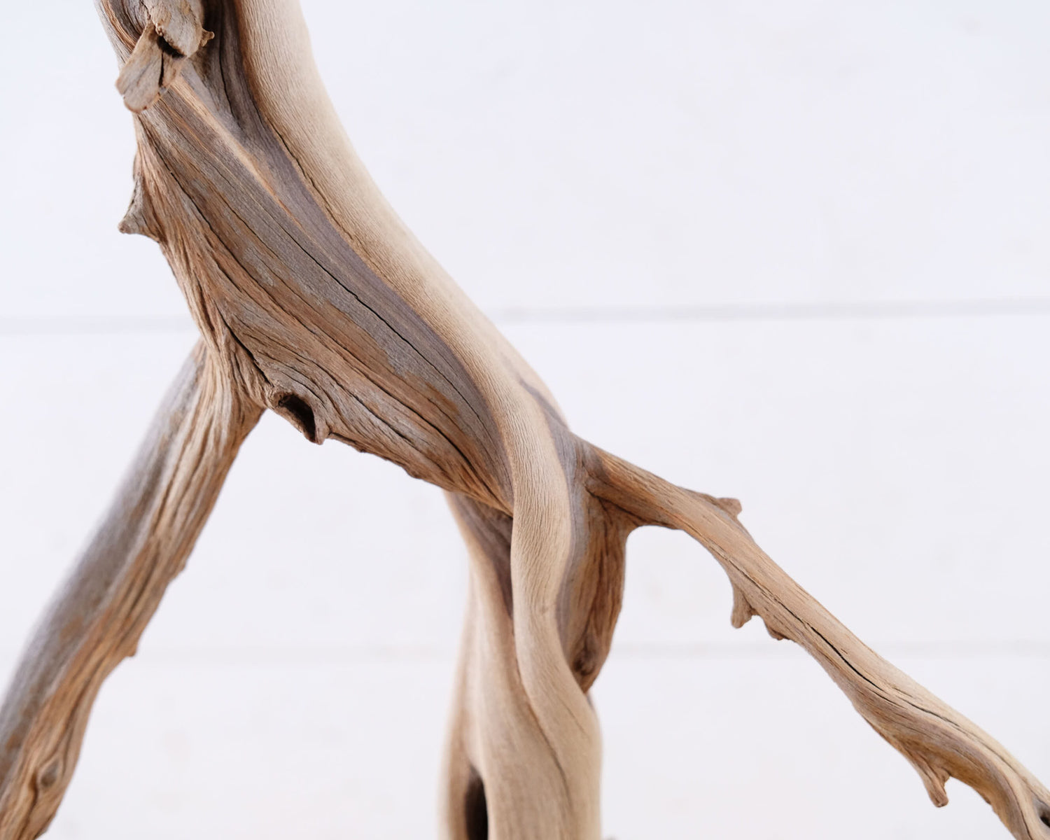 Manzanita 16" Branch, Aquarium Driftwood, Aquascape Centerpiece, Natural Fish Tank Decor, Reptile Terrarium Wood