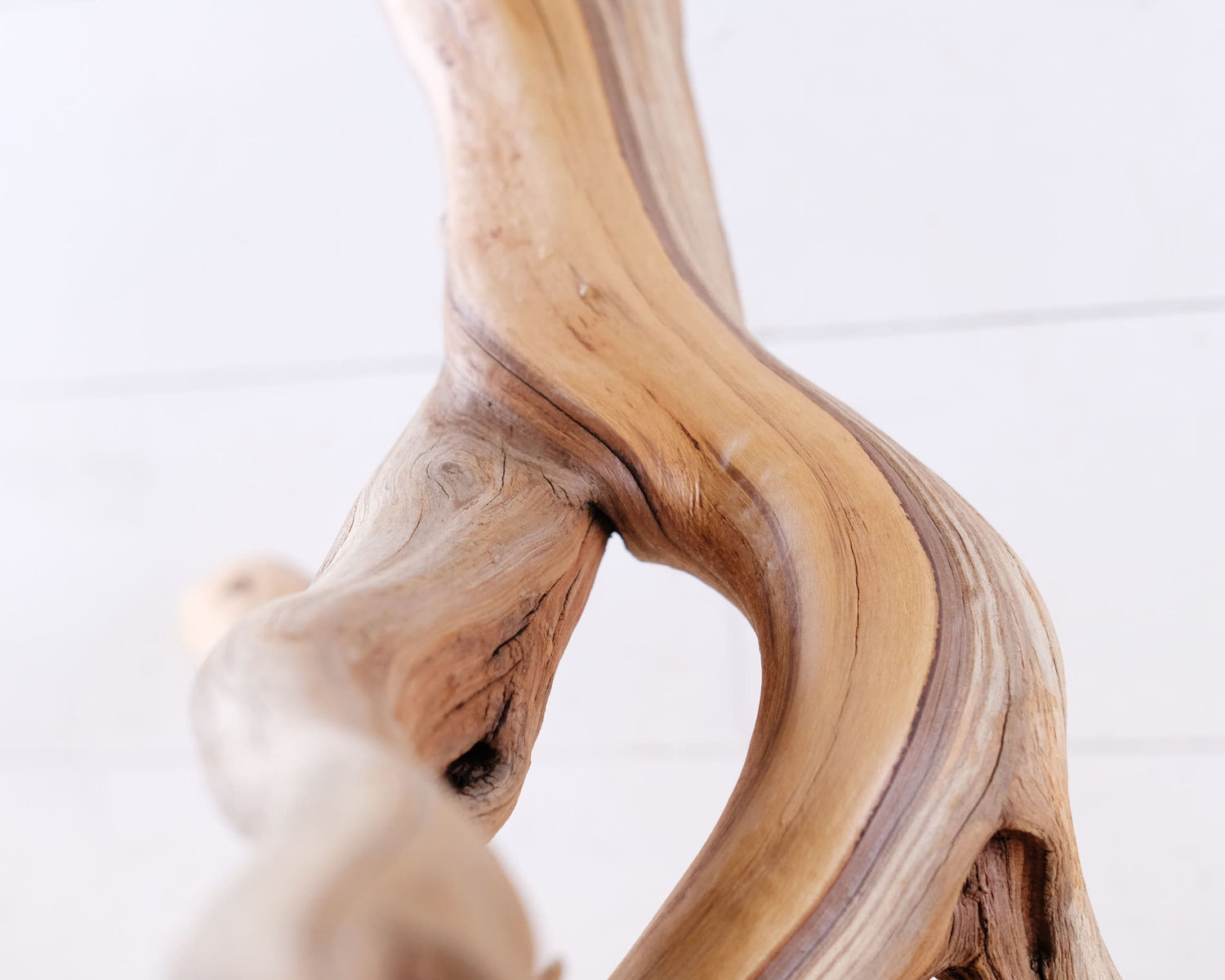 Manzanita 24" Driftwood Branch, Large Aquarium Aquascape Decor, Fish Tank Centerpiece, Reptile Terrarium Climb